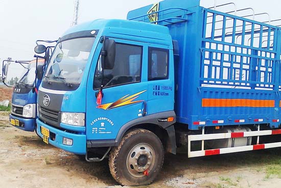 ��·Σ�ջ�������