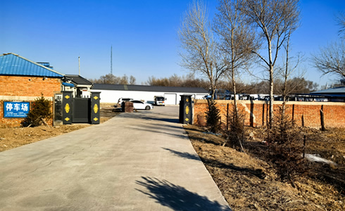 ������Ѷ